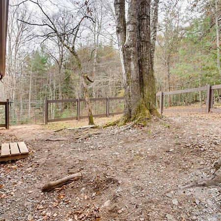 Peaceful Warne Cabin Fenced Yard And Screened Porch Brasstown Kültér fotó