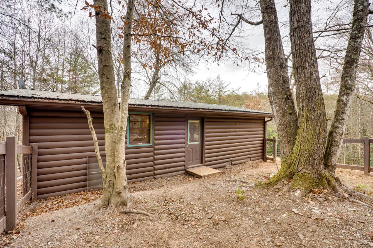 Peaceful Warne Cabin Fenced Yard And Screened Porch Brasstown Kültér fotó