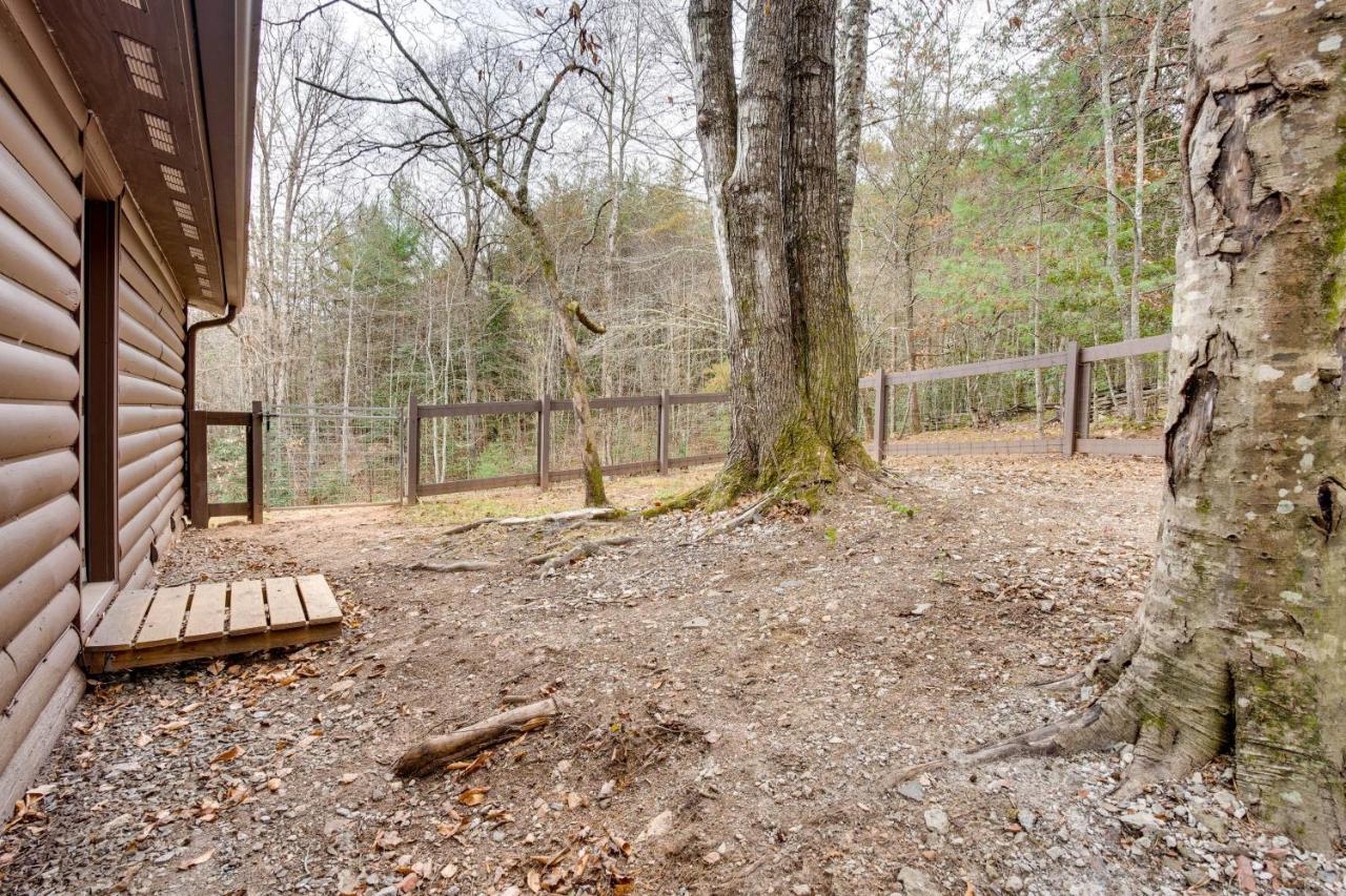 Peaceful Warne Cabin Fenced Yard And Screened Porch Brasstown Kültér fotó